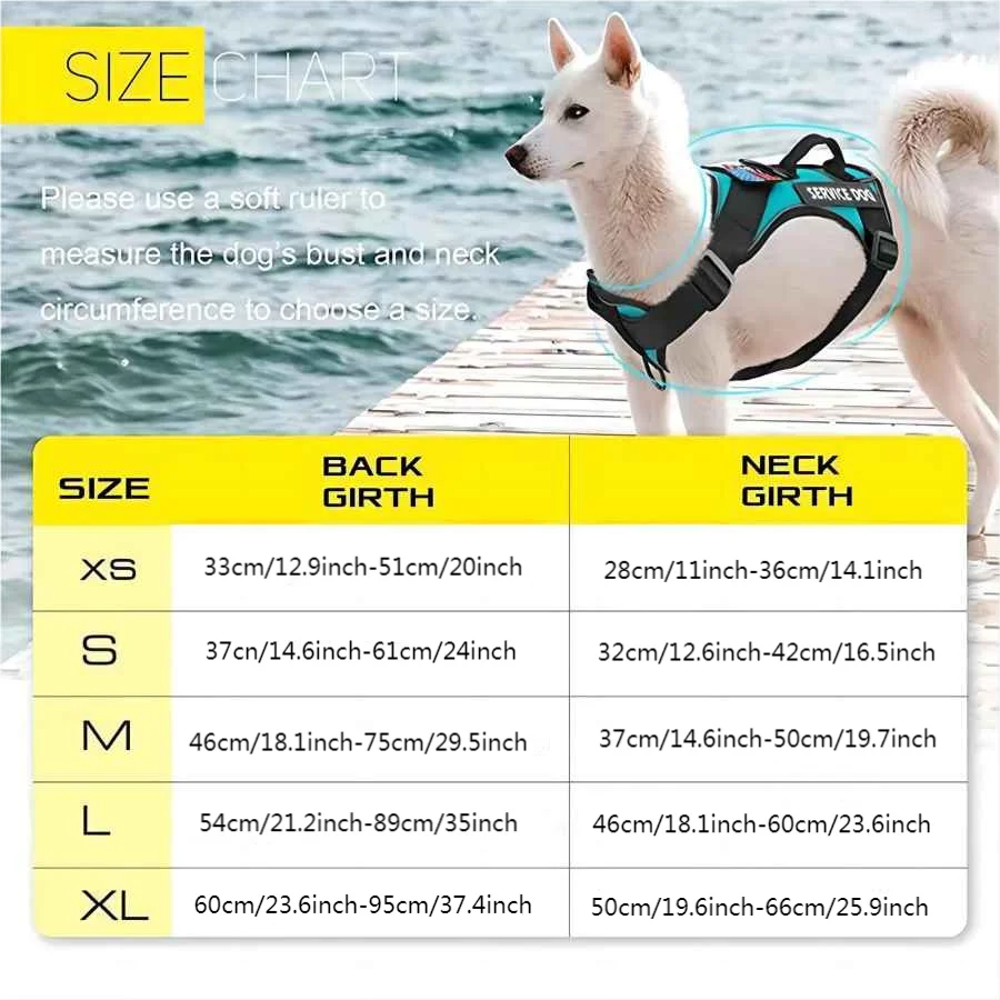 Reflective No-Pull Dog Harness Set