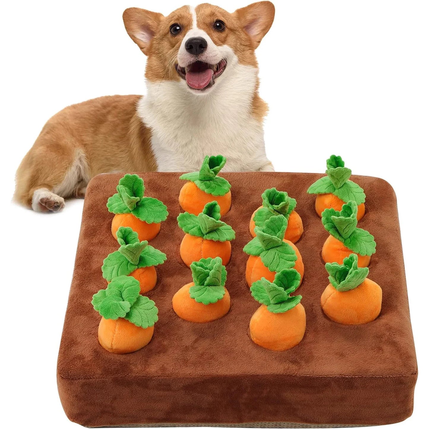 Carrot Quest: Snuffle Mat for Dogs