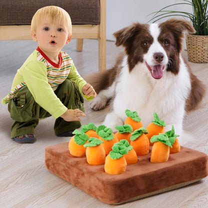 Carrot Quest: Snuffle Mat for Dogs