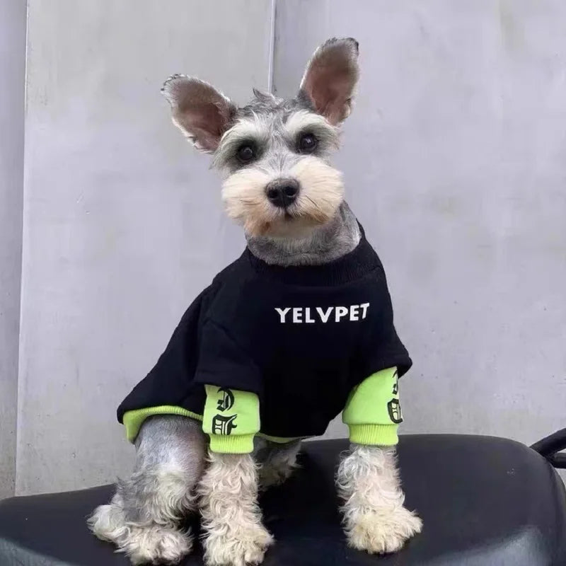 PupHood™ Hoodie for Dogs