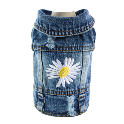 Denim Delight Dog Jeans Jacket