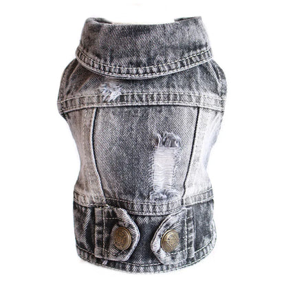Denim Delight Dog Jeans Jacket