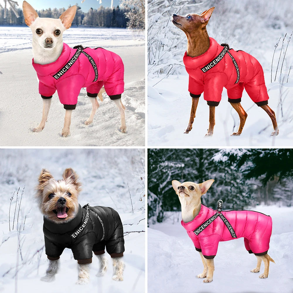 Pawclair Waterproof Winter Dog Jacket
