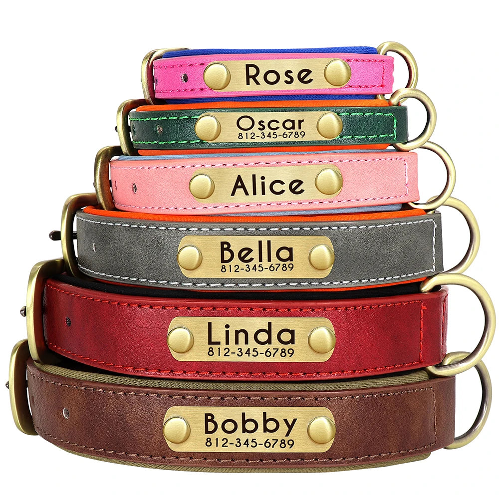 Custom Leather Padded Dog Collar