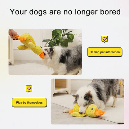 QuackPal: Squeaky Duck Dog Toy
