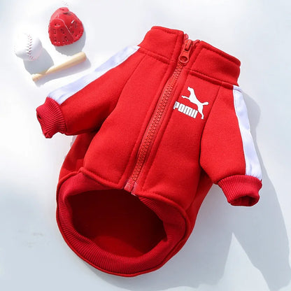Puppy Pomii Winter Dog Sweatshirt