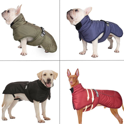 Winter Shield Weatherproof Big Dog Jacket