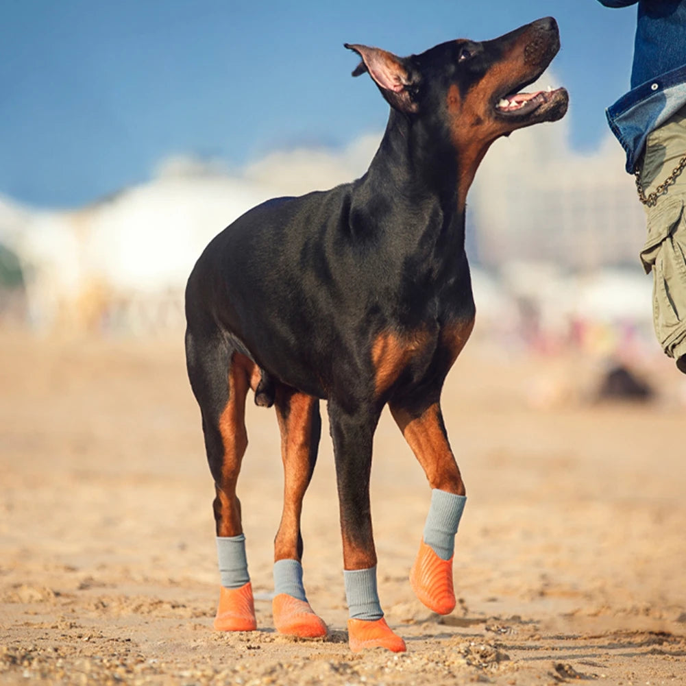 Rubber & Sock Waterproof Dog Boots