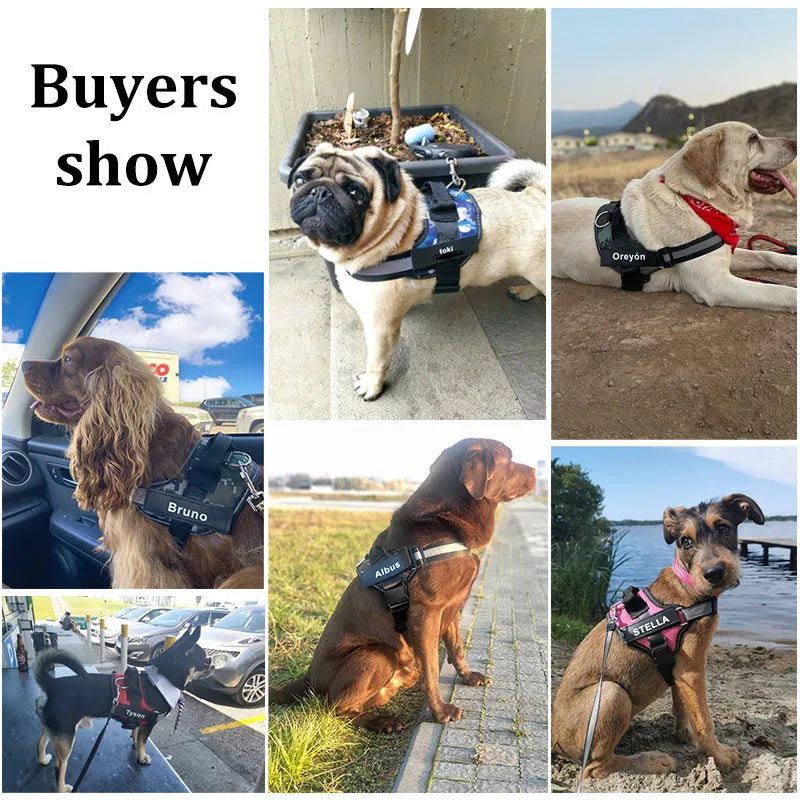Personalized No-Pull Reflective  Dog Harness