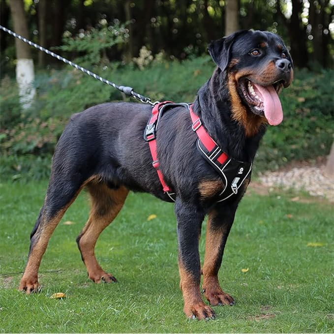 Reflective Vest  Dog Harness